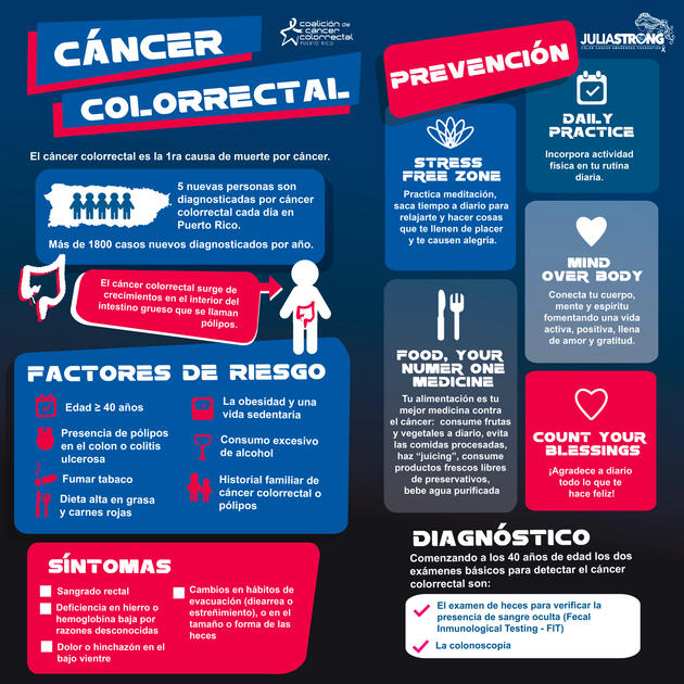 Infographic Banner Infographic Banner